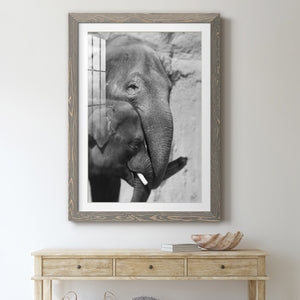 Tender Moment - Barnwood Framed Art Print