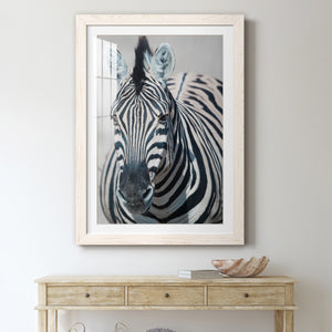 Namibia Zebra - Premium Framed Print - Distressed Barnwood Frame - Ready to Hang