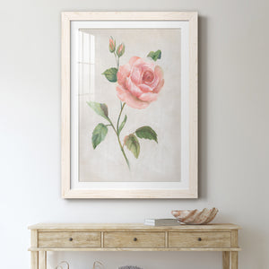 Grandiflora I - Barnwood Framed Art Print