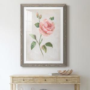 Grandiflora I - Barnwood Framed Art Print
