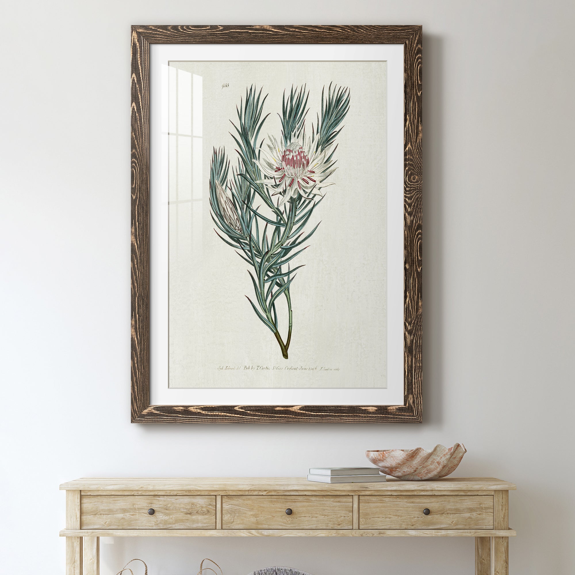 Protea N33 - Barnwood Framed Art Print