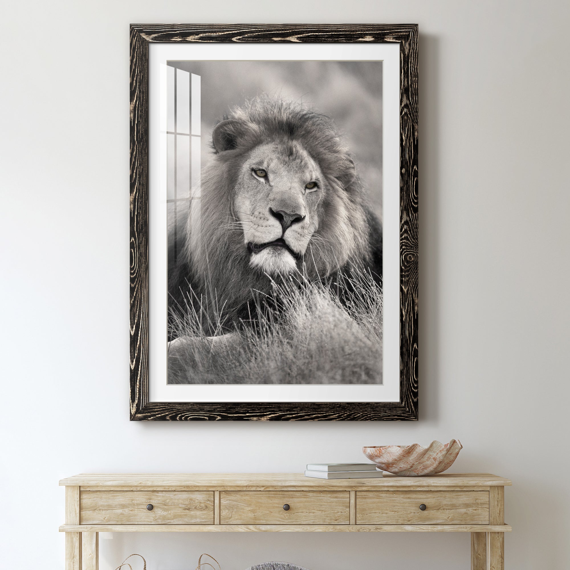 Pride of the Pride - Barnwood Framed Art Print