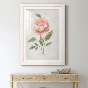 Grandiflora III - Barnwood Framed Art Print