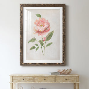 Grandiflora III - Barnwood Framed Art Print