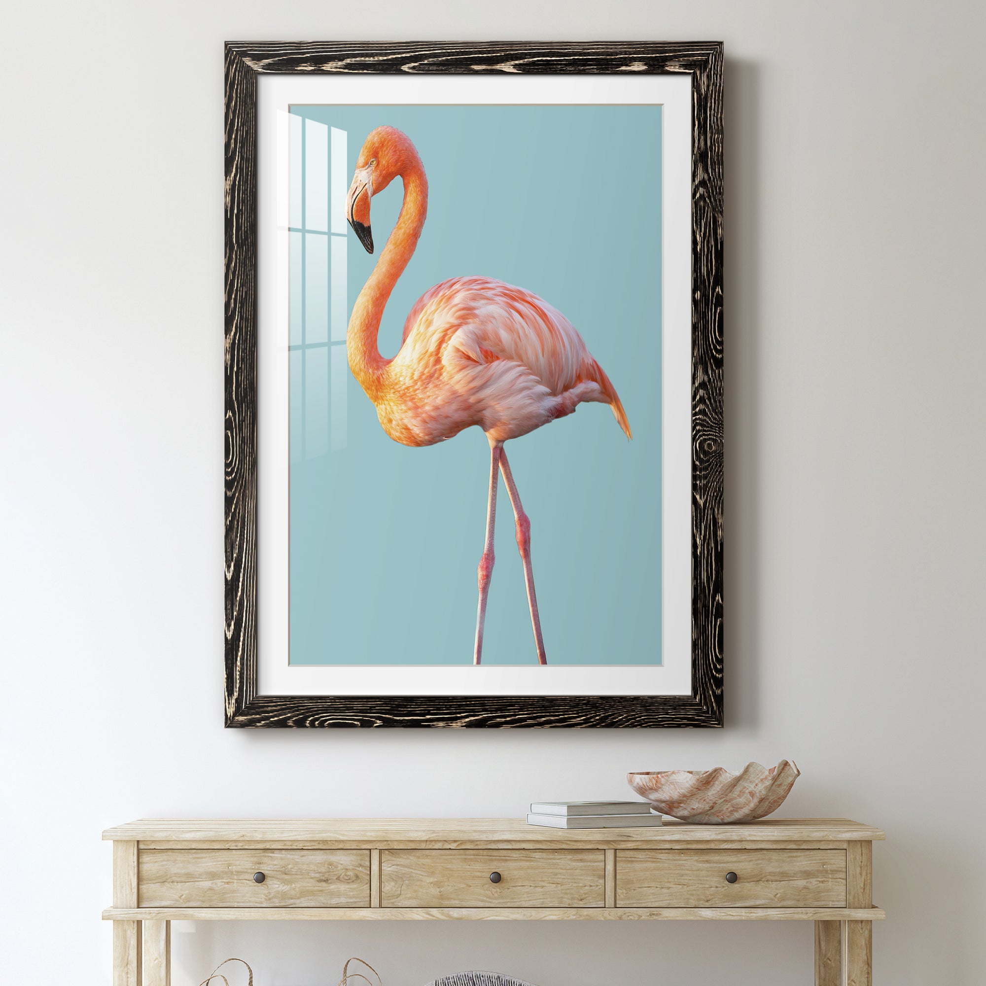 Flamingo - Barnwood