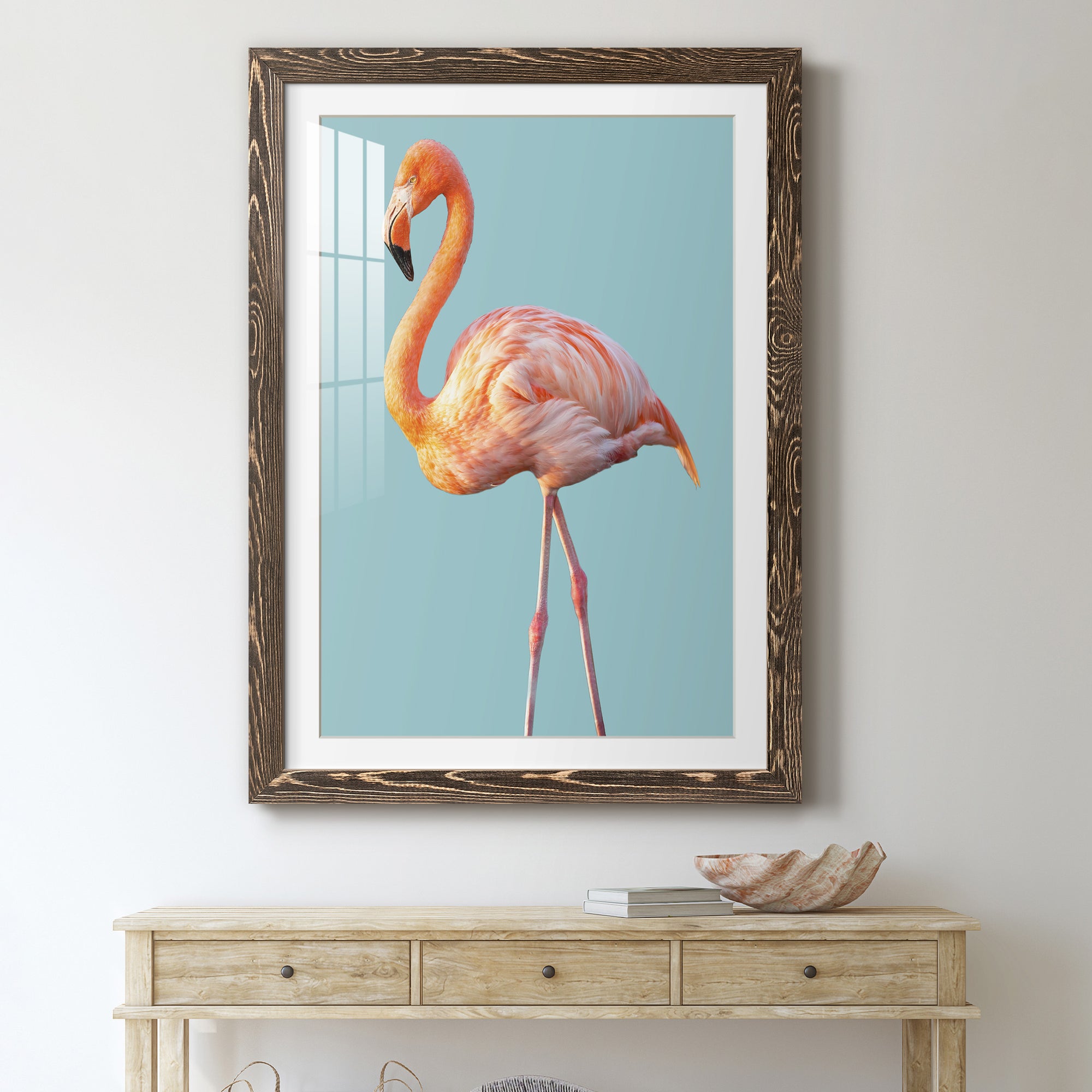 Flamingo - Barnwood