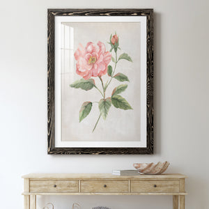 Grandiflora II - Barnwood Framed Art Print