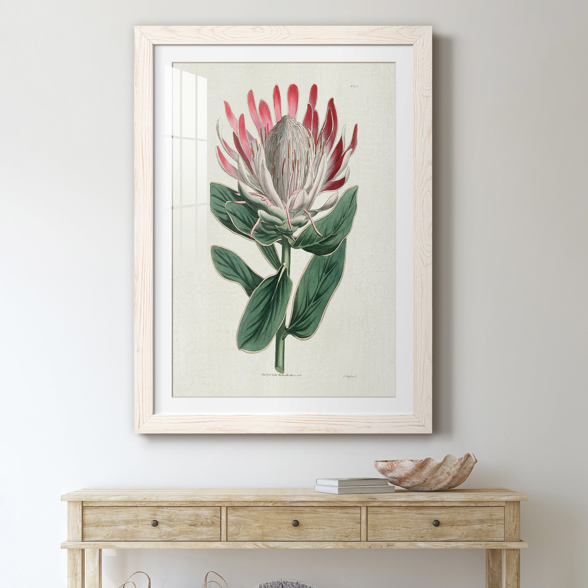 Protea N13 - Barnwood Framed Art Print