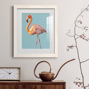 Flamingo - Barnwood