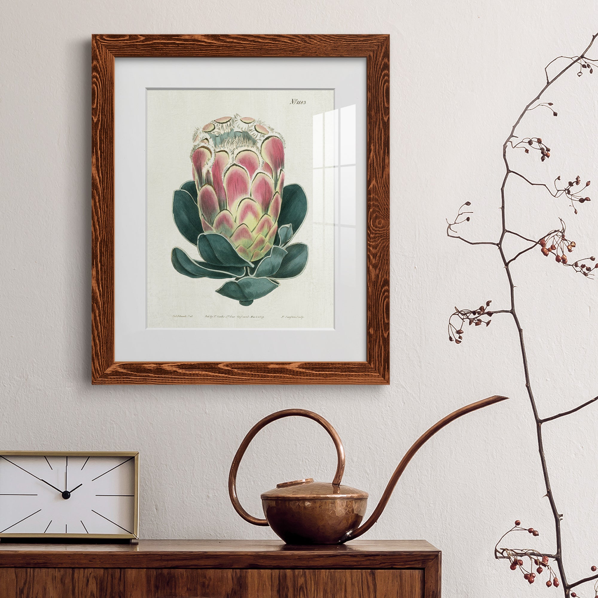 Protea N83 - Barnwood Framed Art Print