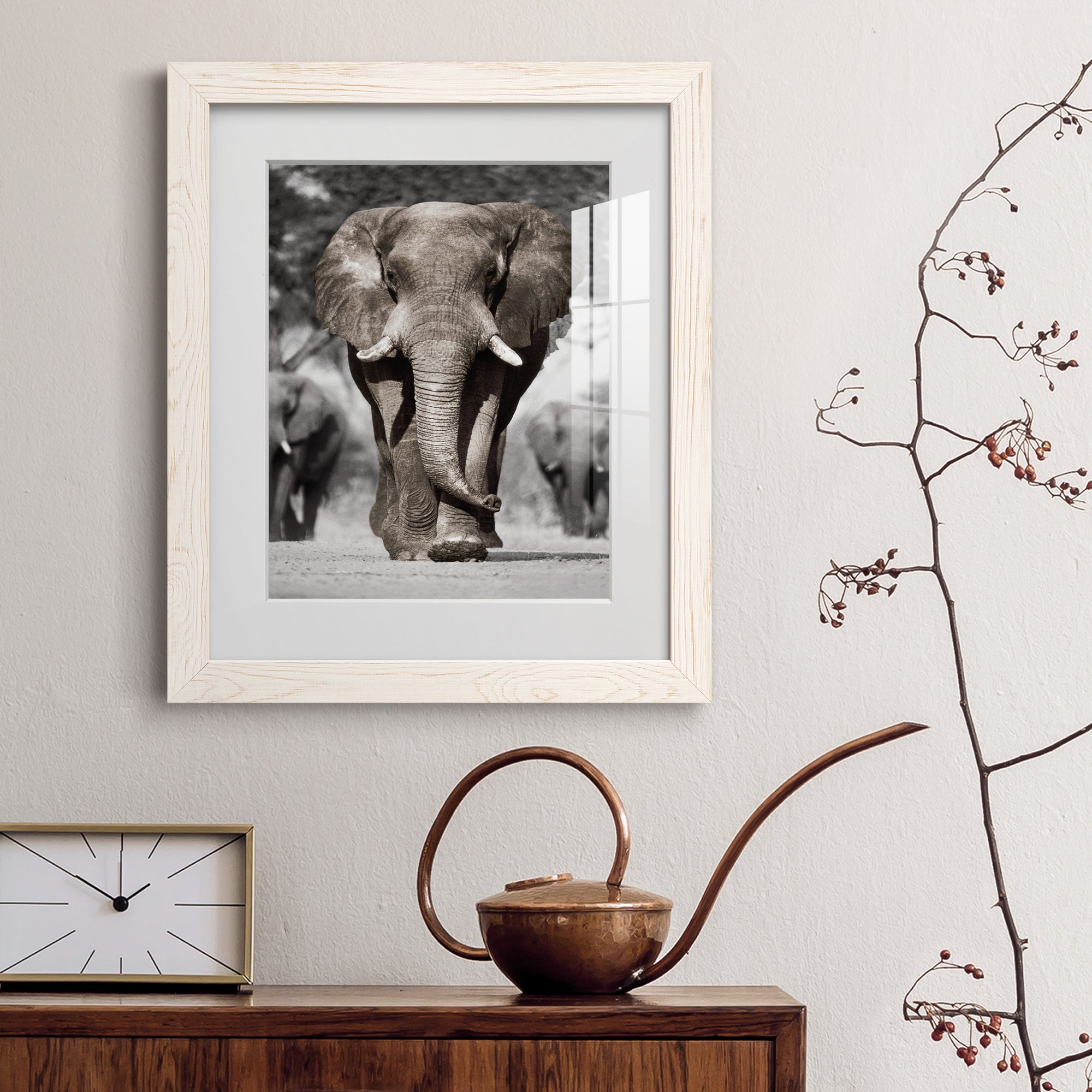 Botswana Patriarch - Barnwood Framed Art Print