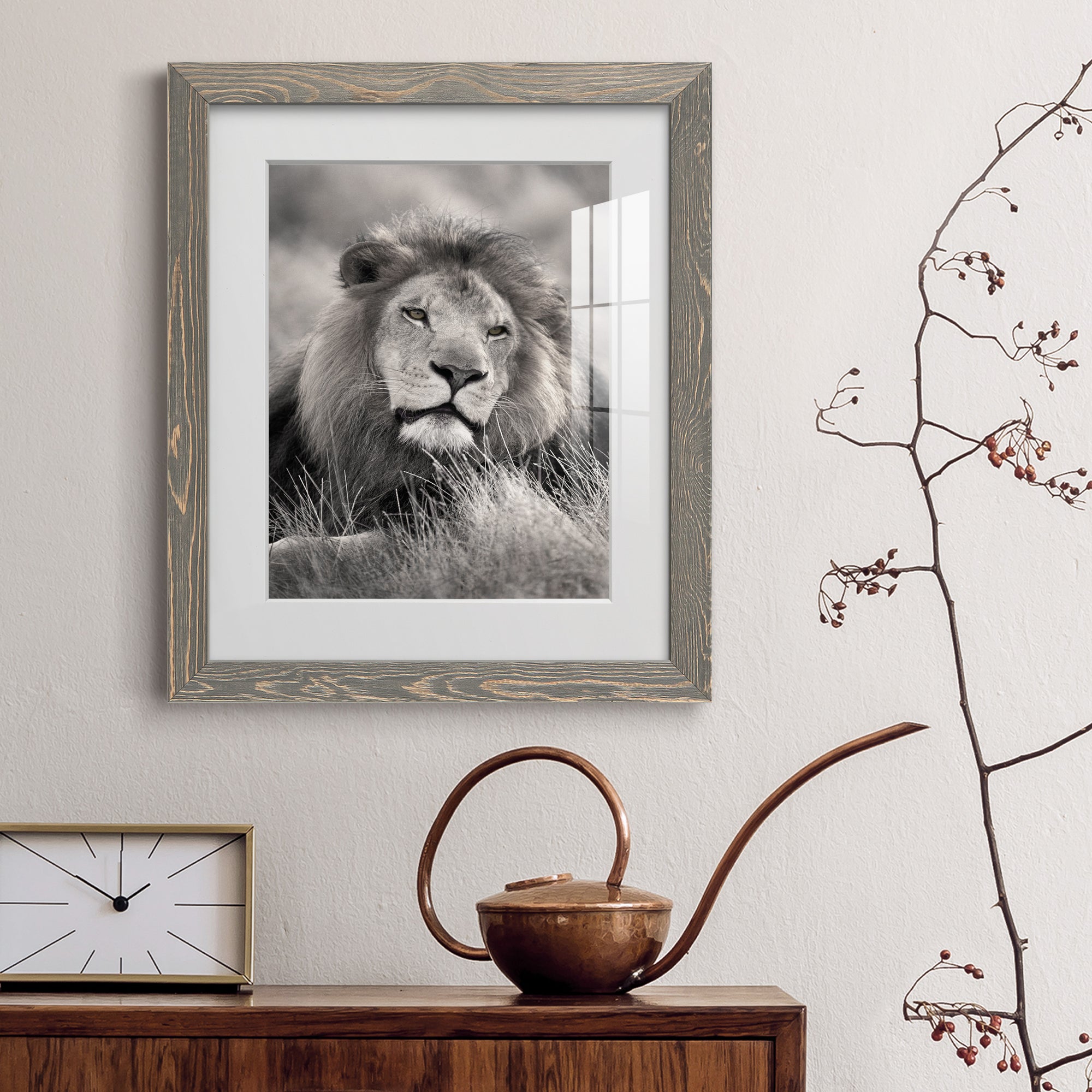 Pride of the Pride - Barnwood Framed Art Print