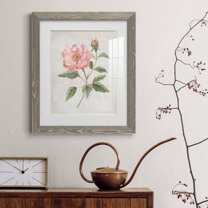 Grandiflora II - Barnwood Framed Art Print