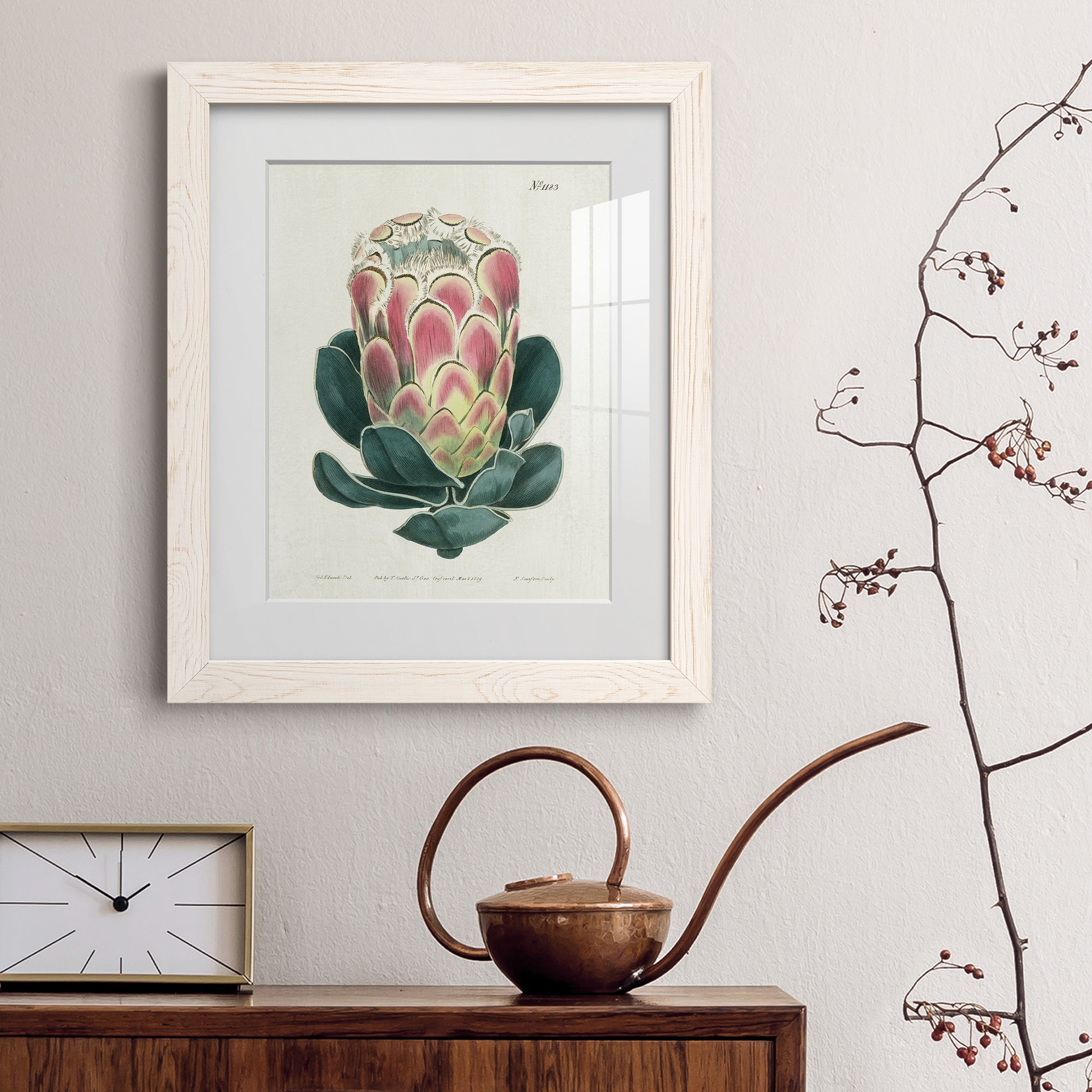 Protea N83 - Barnwood Framed Art Print