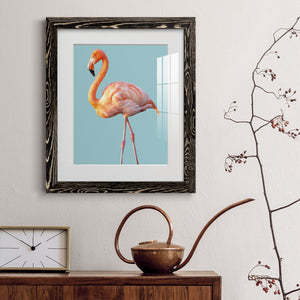 Flamingo - Barnwood