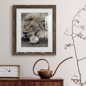 Sleepy Afternoon in Masai Mara - Barnwood Framed Art Print