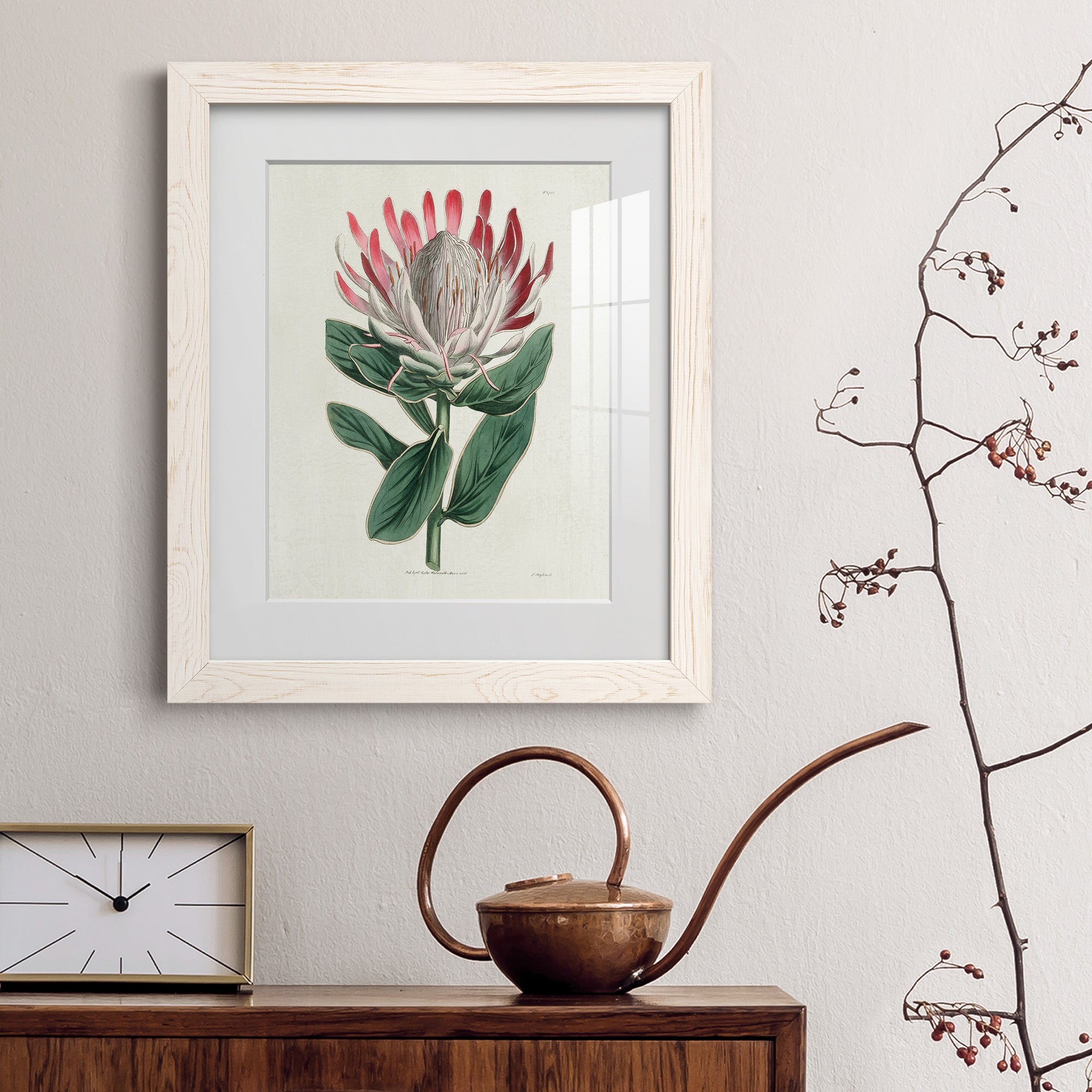 Protea N13 - Barnwood Framed Art Print