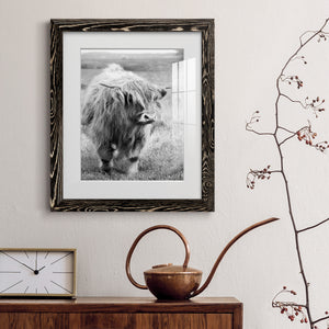 Gretna Green Highland - Barnwood Framed Art Print