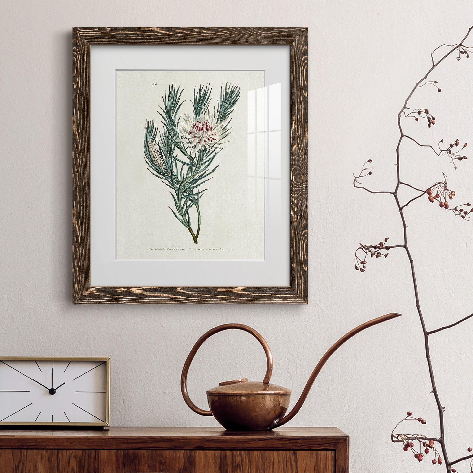 Protea N33 - Barnwood Framed Art Print