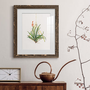 Gardenaire I - Barnwood Framed Art Print