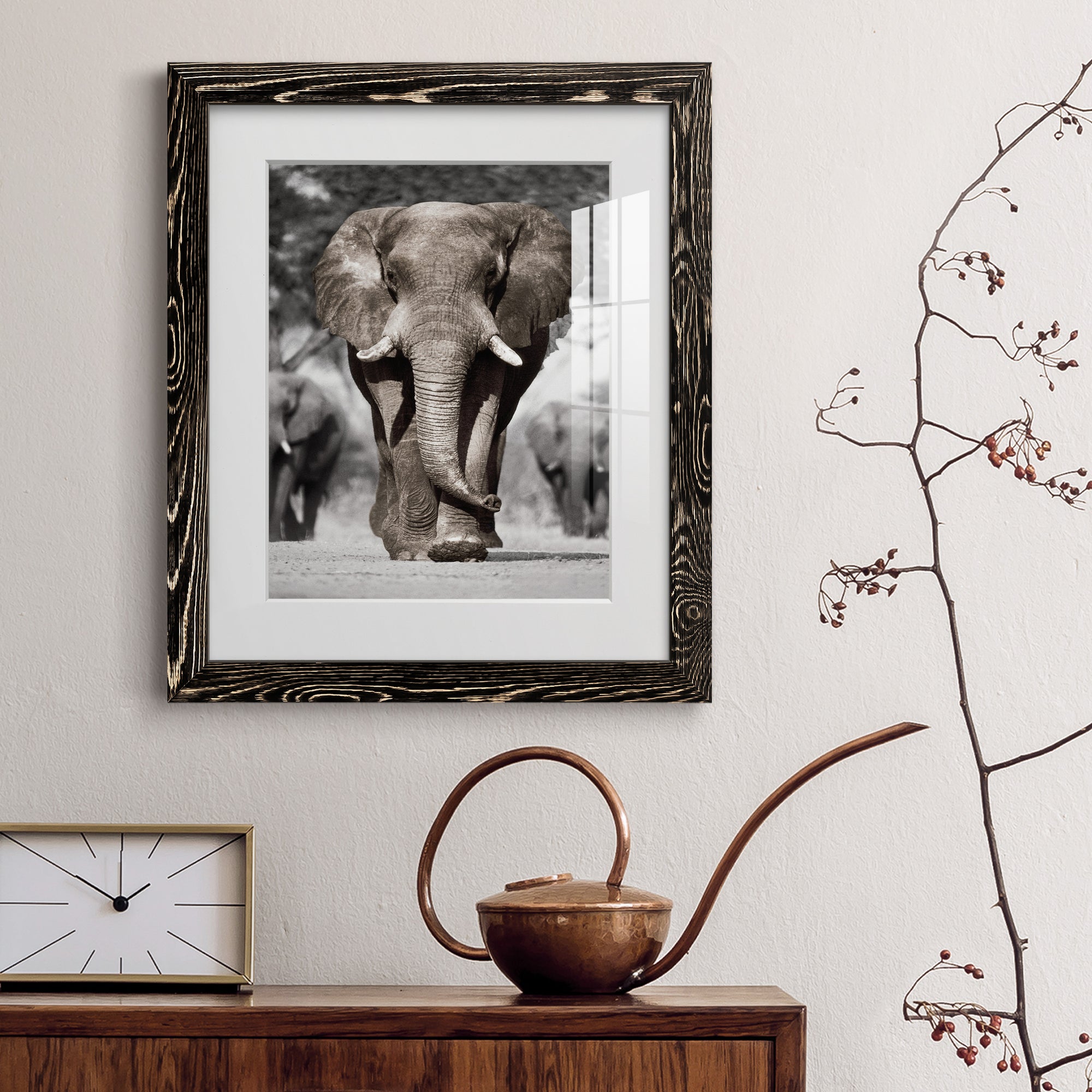 Botswana Patriarch - Barnwood Framed Art Print