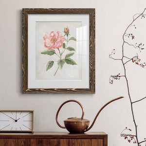 Grandiflora II - Barnwood Framed Art Print