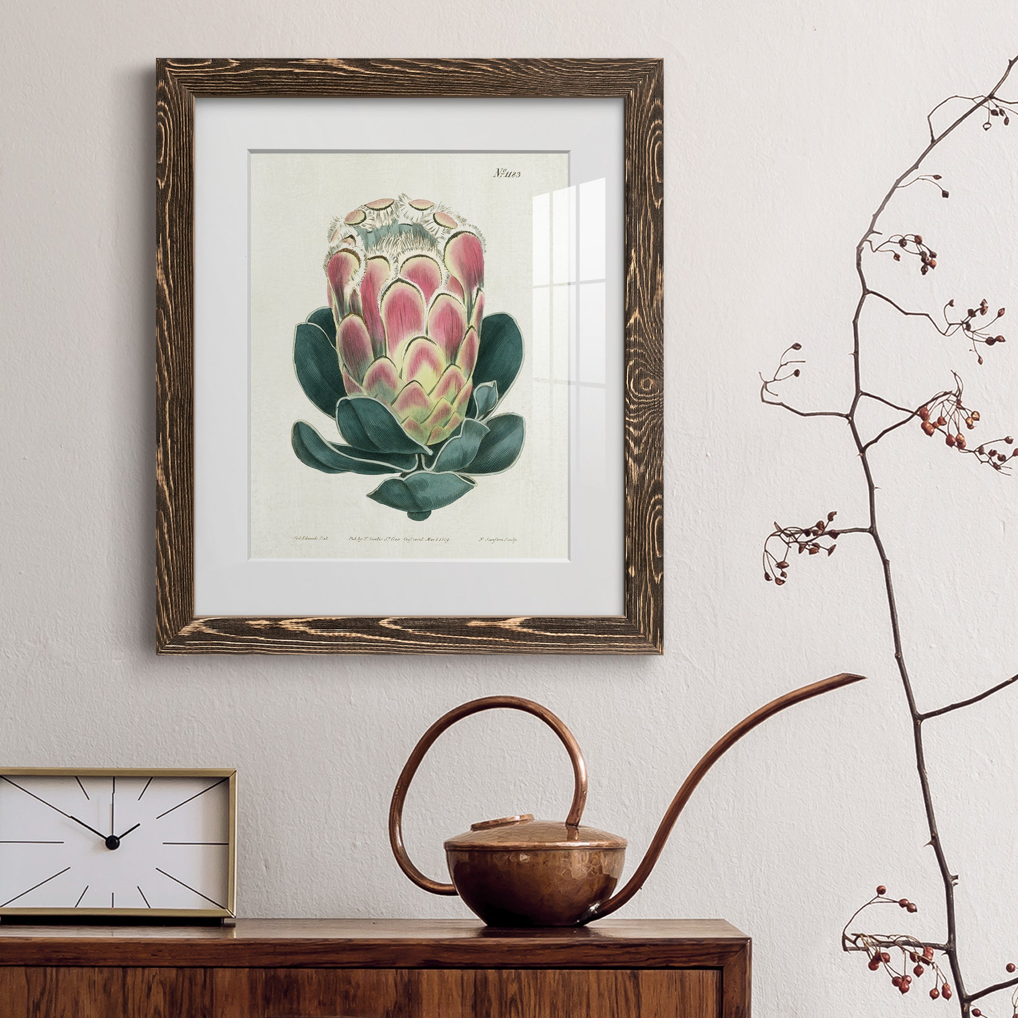 Protea N83 - Barnwood Framed Art Print