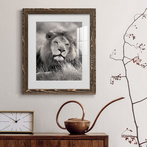 Pride of the Pride - Barnwood Framed Art Print
