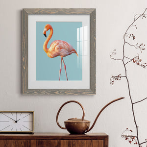 Flamingo - Barnwood