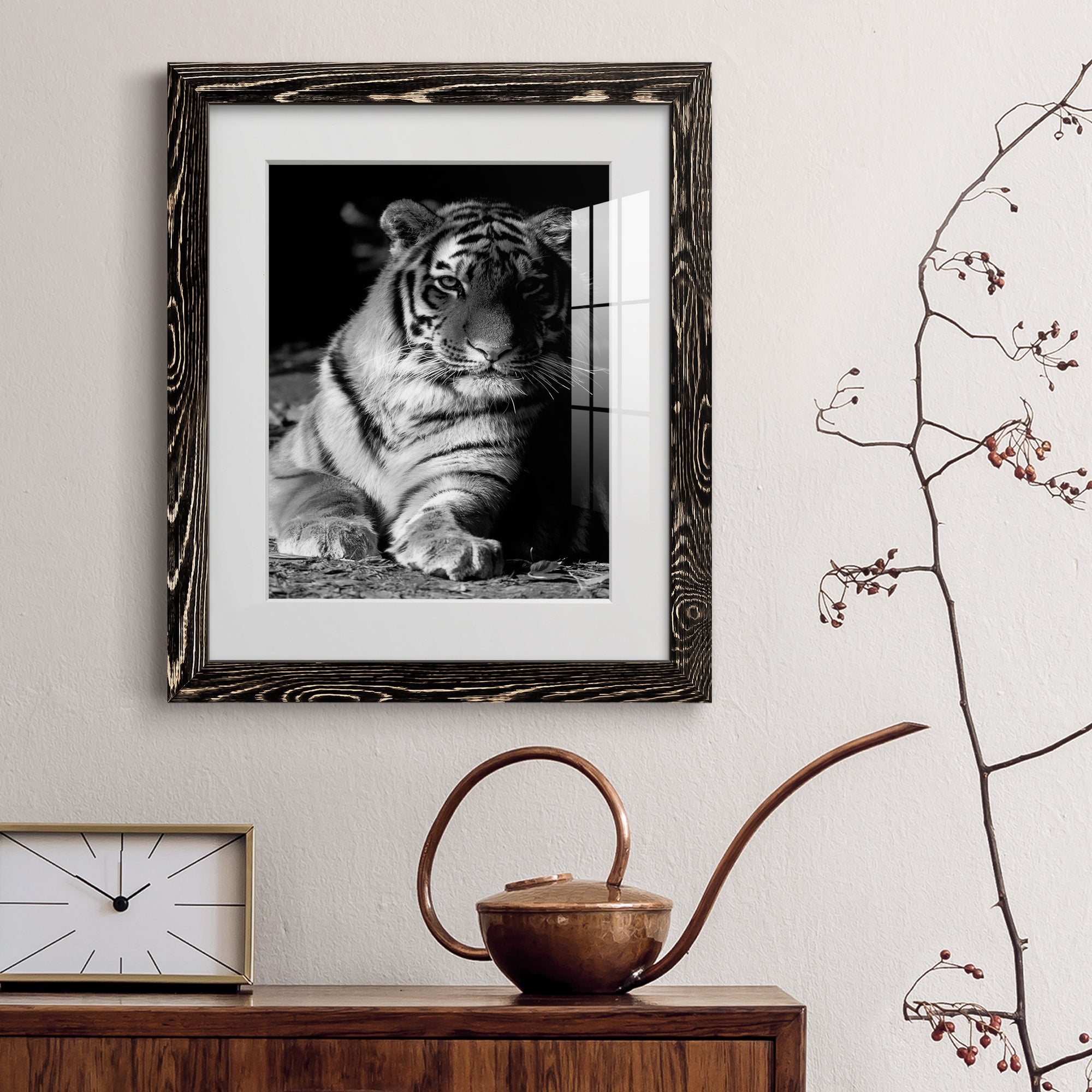 Tiger Repose - Barnwood Framed Art Print