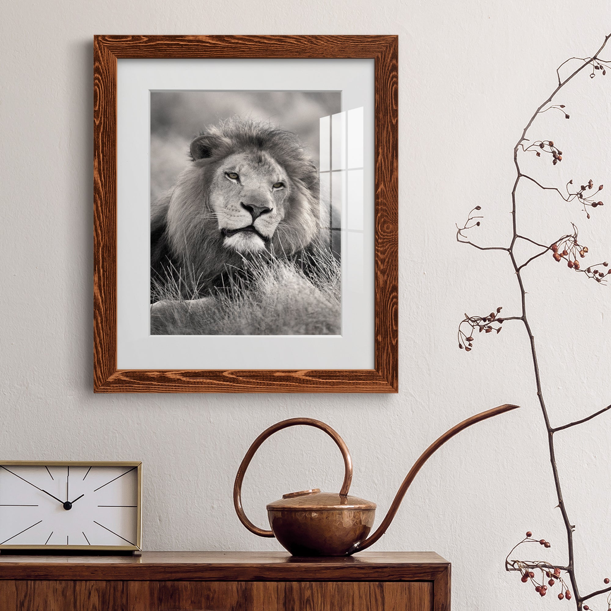 Pride of the Pride - Barnwood Framed Art Print