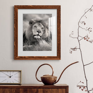 Pride of the Pride - Barnwood Framed Art Print