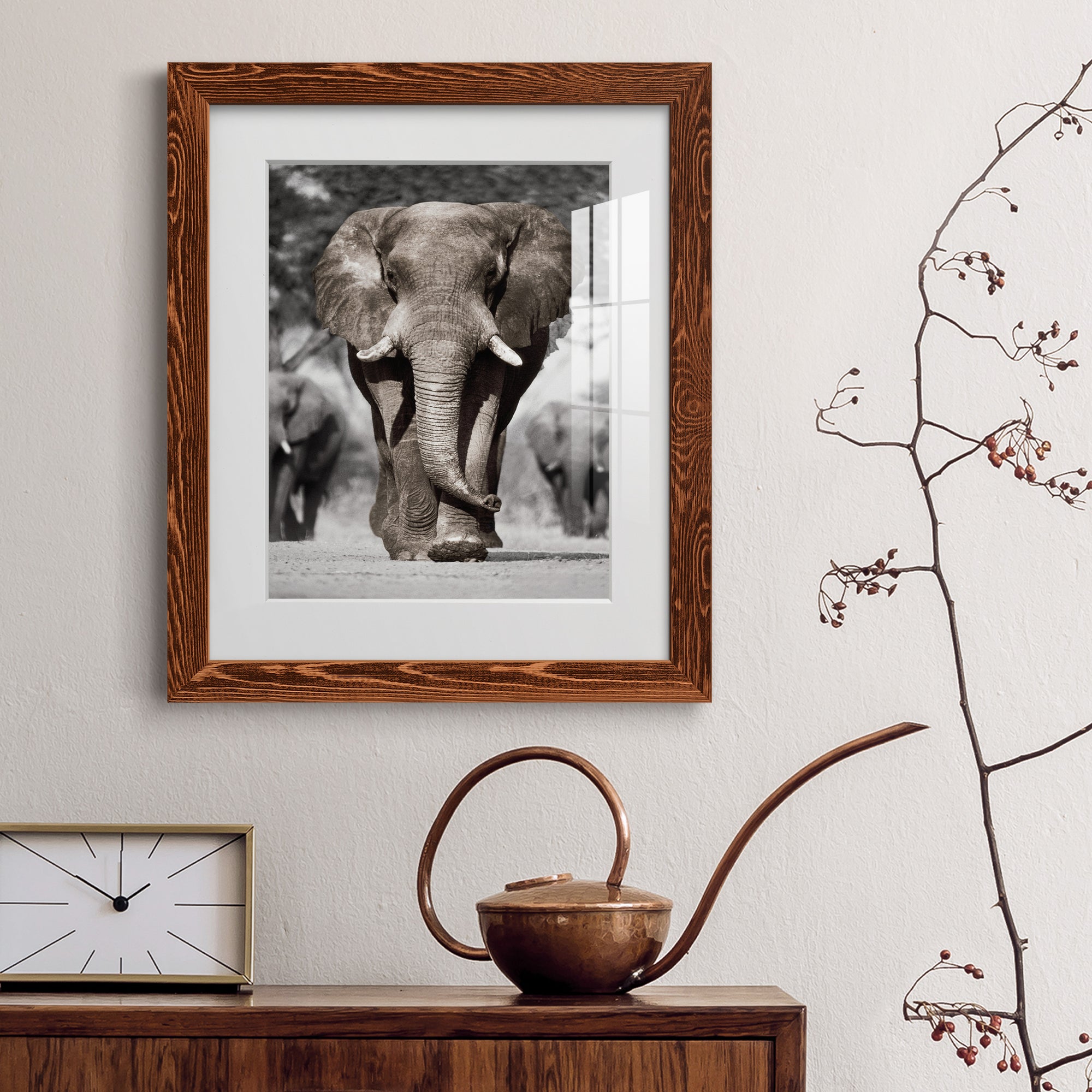 Botswana Patriarch - Barnwood Framed Art Print