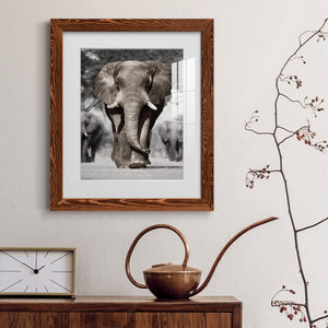 Botswana Patriarch - Barnwood Framed Art Print