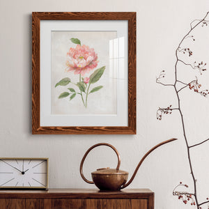 Grandiflora III - Barnwood Framed Art Print
