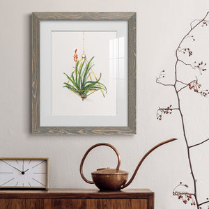 Gardenaire I - Barnwood Framed Art Print