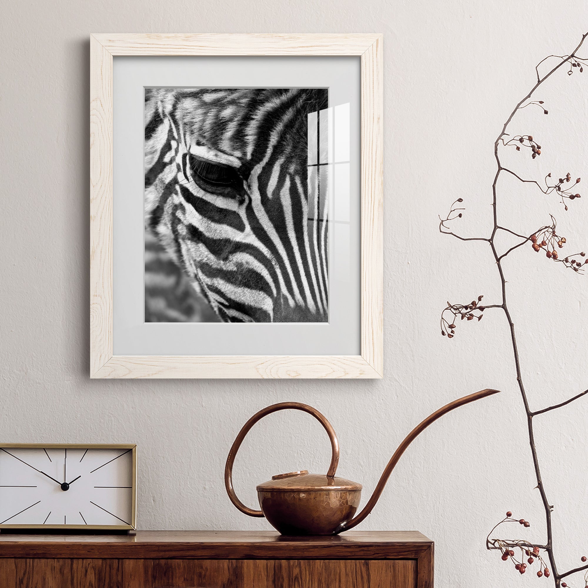 Zebra Colt - Premium Framed Print - Distressed Barnwood Frame - Ready to Hang