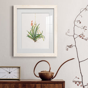 Gardenaire I - Barnwood Framed Art Print