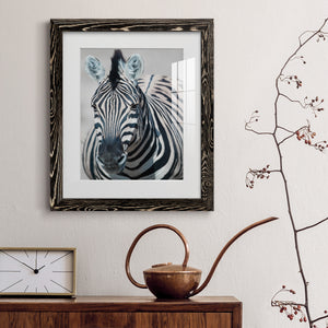 Namibia Zebra - Premium Framed Print - Distressed Barnwood Frame - Ready to Hang