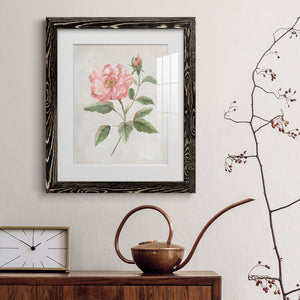 Grandiflora II - Barnwood Framed Art Print