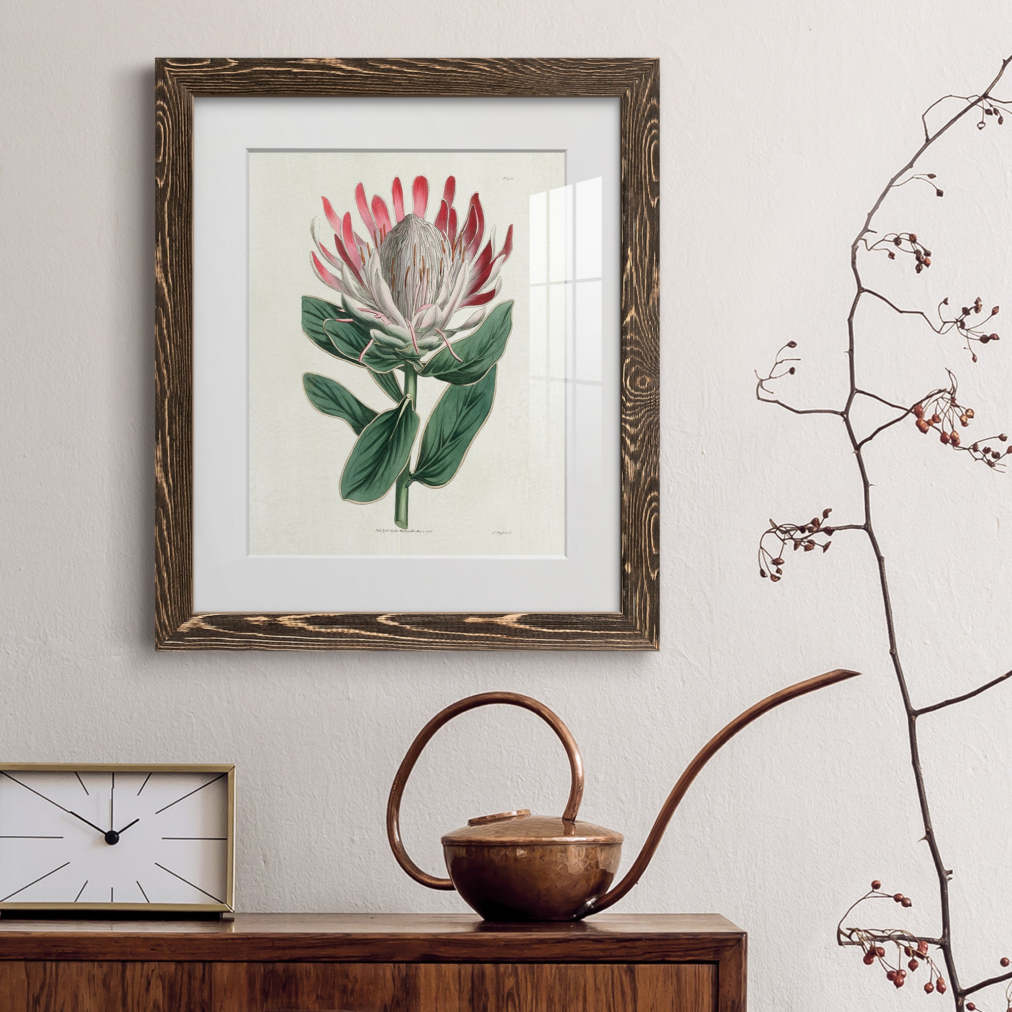 Protea N13 - Barnwood Framed Art Print