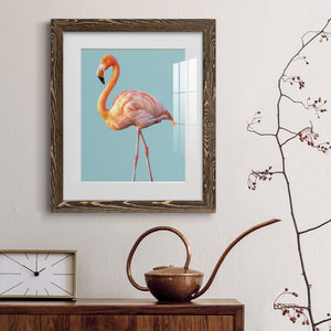 Flamingo - Barnwood