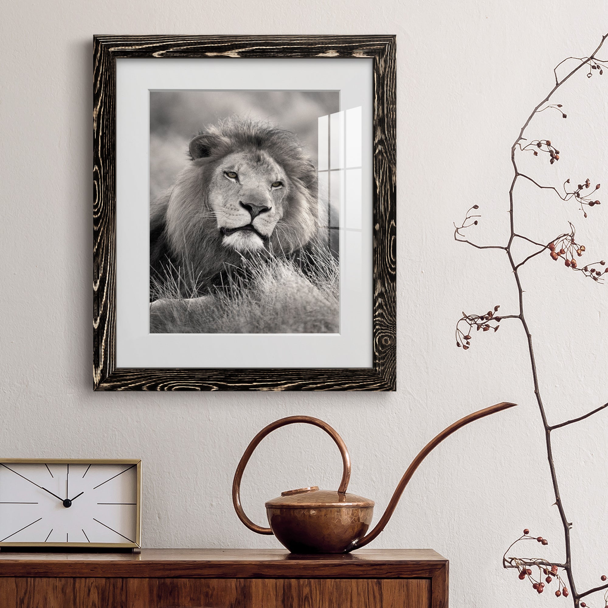 Pride of the Pride - Barnwood Framed Art Print