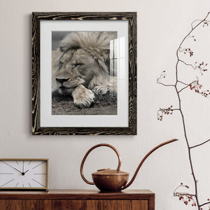 Sleepy Afternoon in Masai Mara - Barnwood Framed Art Print