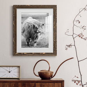 Gretna Green Highland - Barnwood Framed Art Print