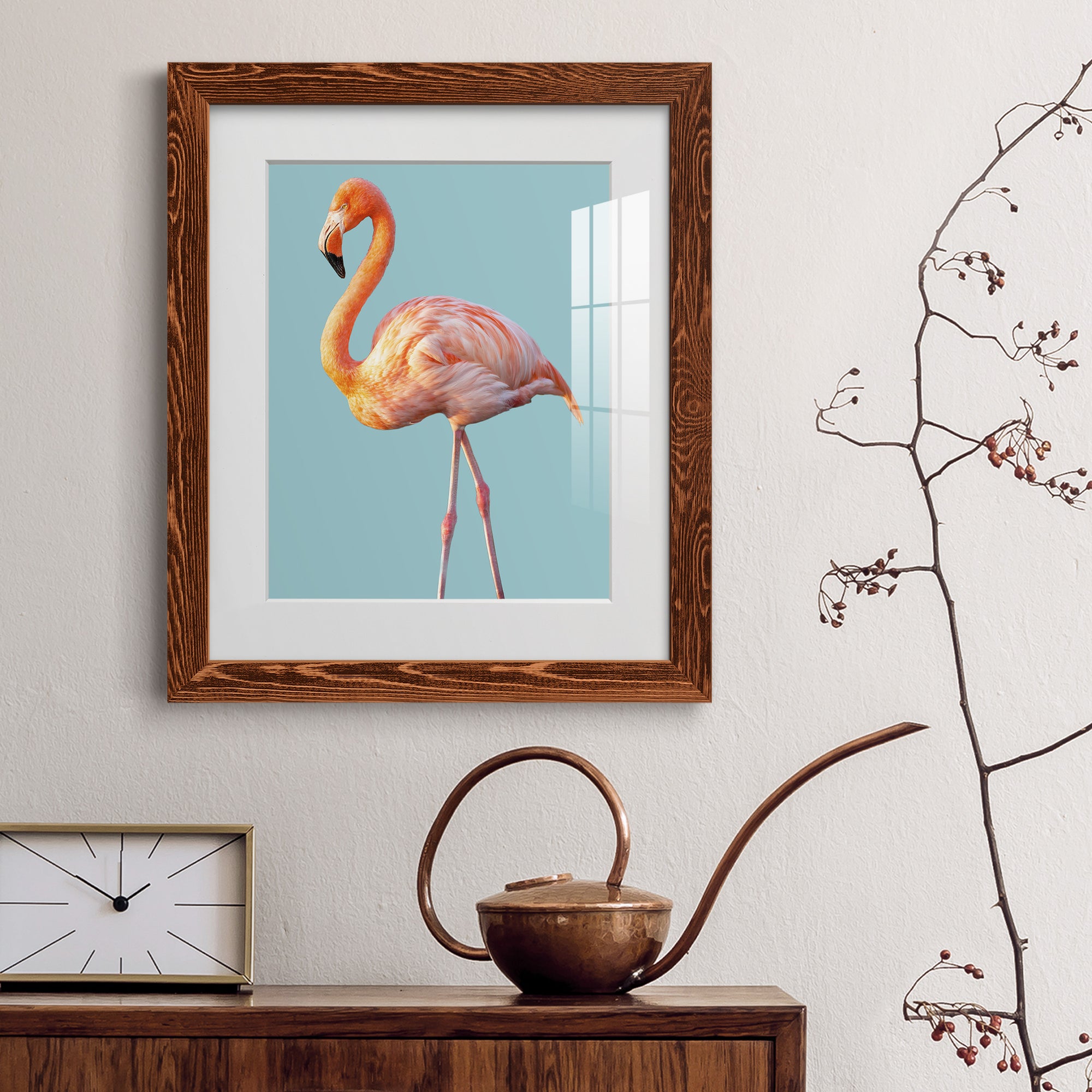 Flamingo - Barnwood