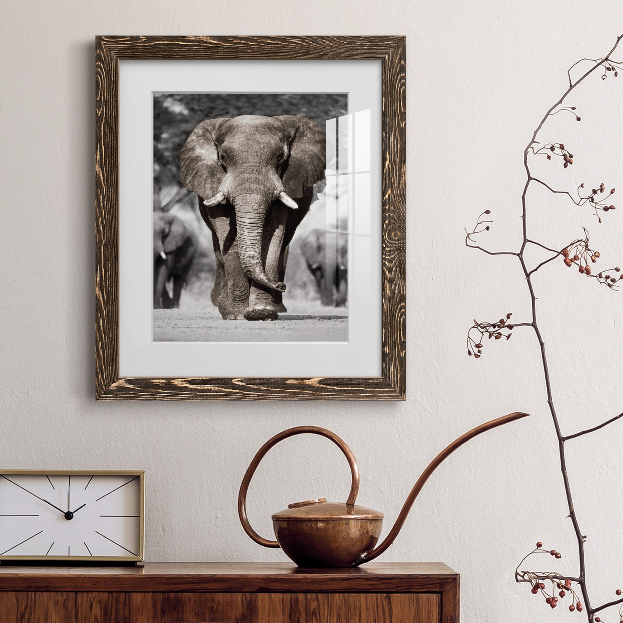 Botswana Patriarch - Barnwood Framed Art Print