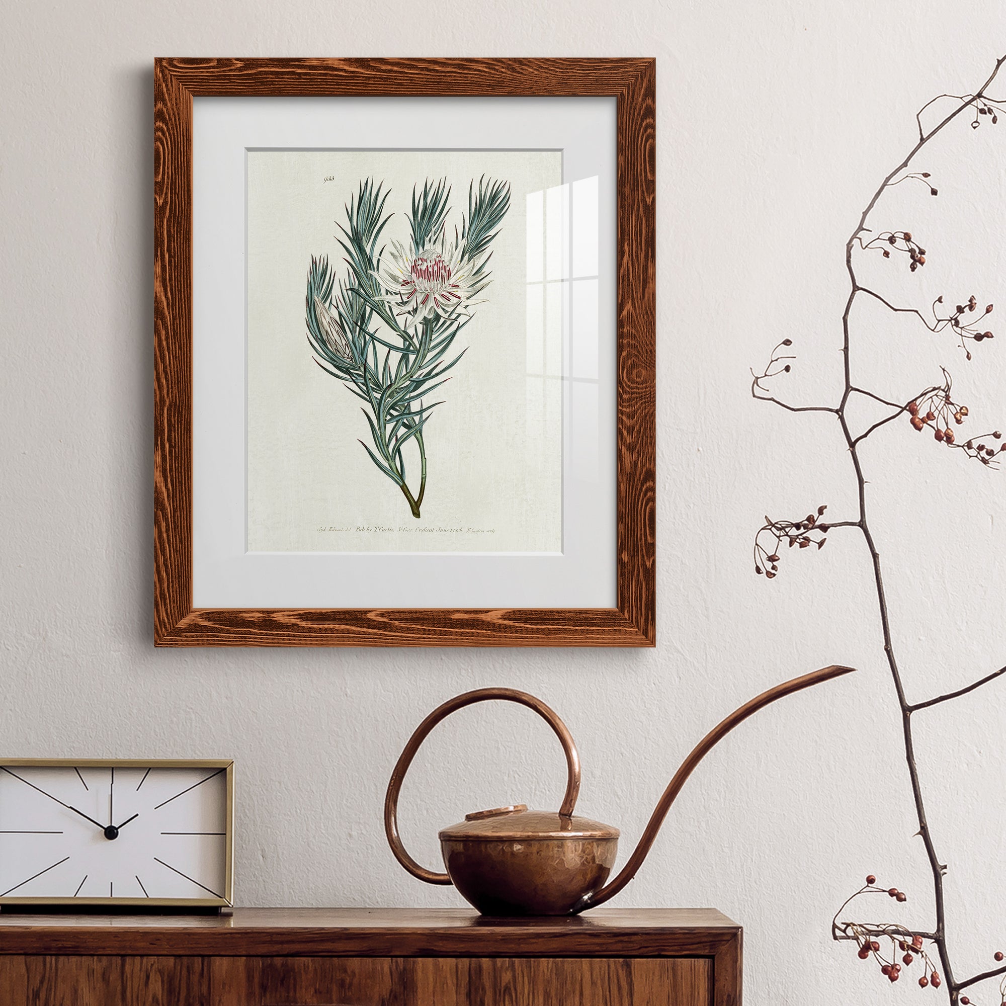 Protea N33 - Barnwood Framed Art Print