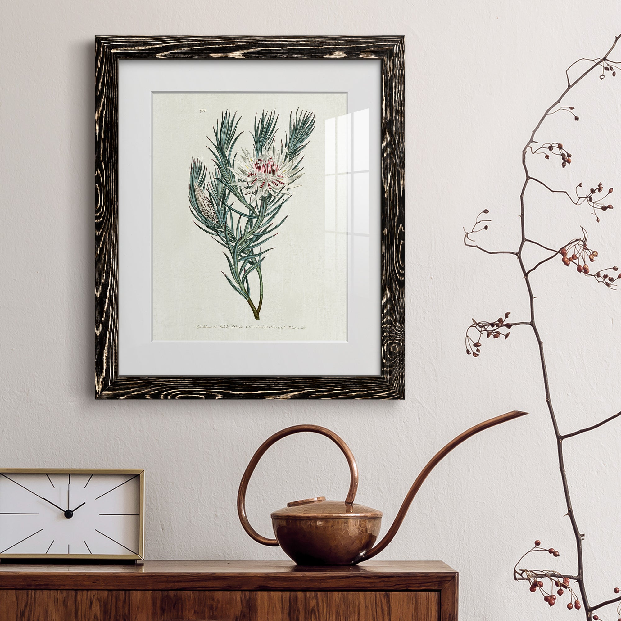 Protea N33 - Barnwood Framed Art Print