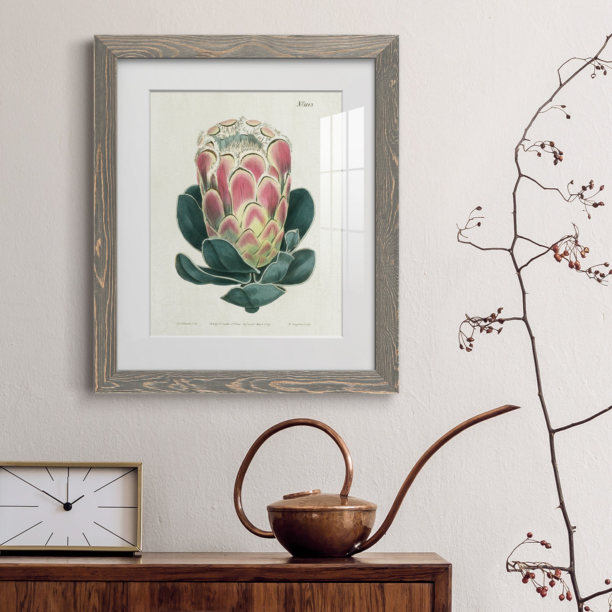 Protea N83 - Barnwood Framed Art Print